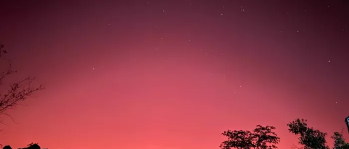 Star Gazing Star Gazing