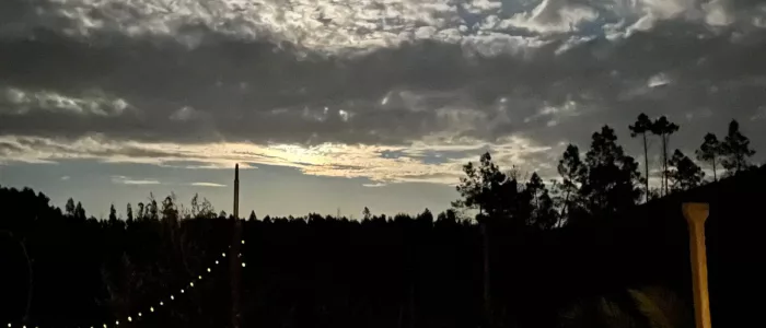 Star Gazing Star Gazing